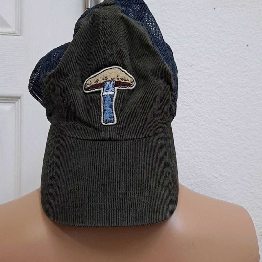 Abercrombie mushroom mesh Cap
